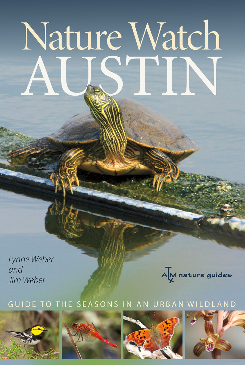 Nature Watch Austin Nature Watch Austin