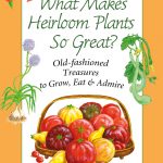 Heirloom Plants Judy Barrett