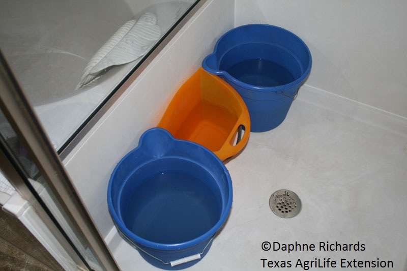 Shower water catchment Daphne Richards 