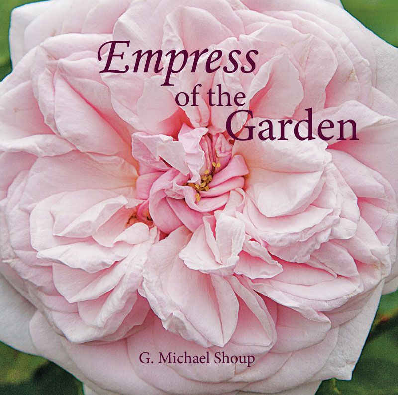 Empress of the Garden Empress of the Garden