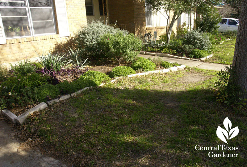 Remove grass for path Remove grass for path