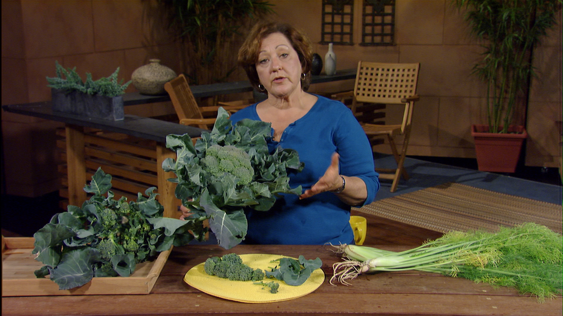 how to cut broccoli plants Trisha Shirey 