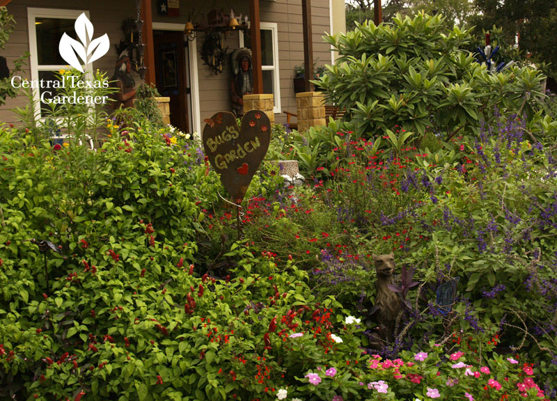 beautiful wildflower garden Dani and Gary Moss