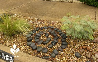 mexican river stone circle