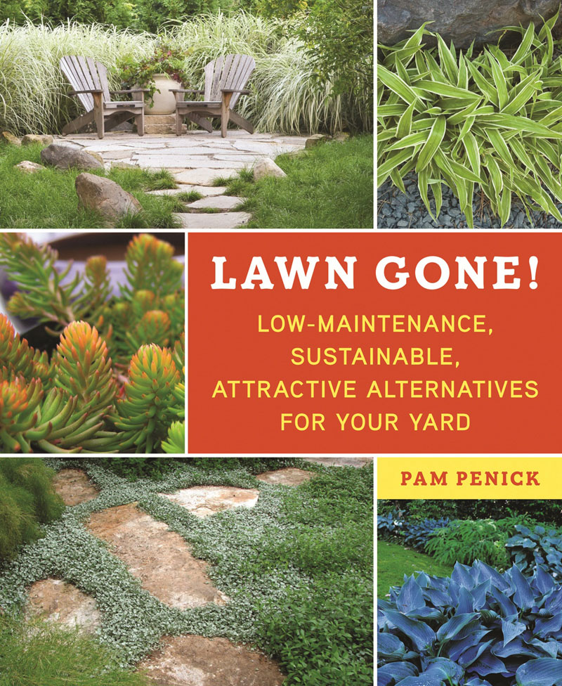 lawn gone pam penick central texas gardener 