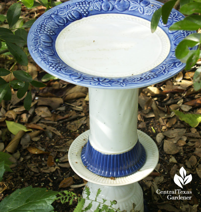 bird bath with old plates and vases Robin Howard Moore