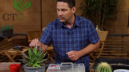 Toolkit for cactus and agaves Jeff Pavlat Austin Cactus & Succulent Society