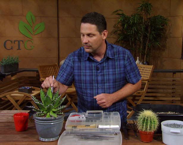 Toolkit for cactus and agaves Jeff Pavlat Austin Cactus & Succulent Society