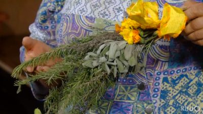 drying herbs