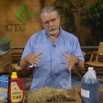 john dromgoole talks grass problems