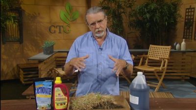 john dromgoole talks grass problems