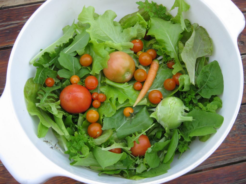 Lettuce Central Texas Gardener