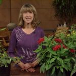 Backyard Basics Lyda Guz Talks Butterflies