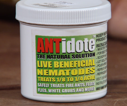 beneficial nematodes beneficial nematodes