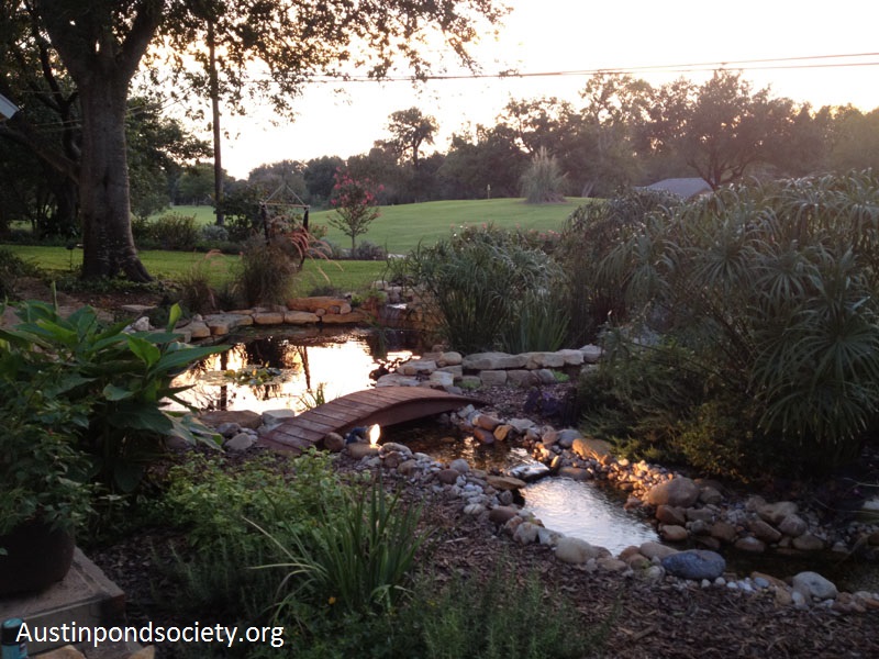 Austin Pond Society tour Austin Pond Society tour