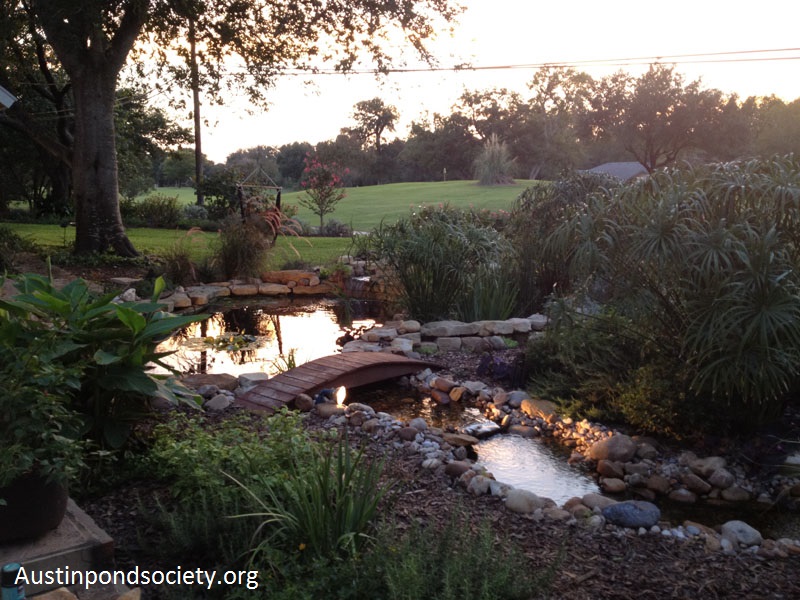 Austin Pond Society tour