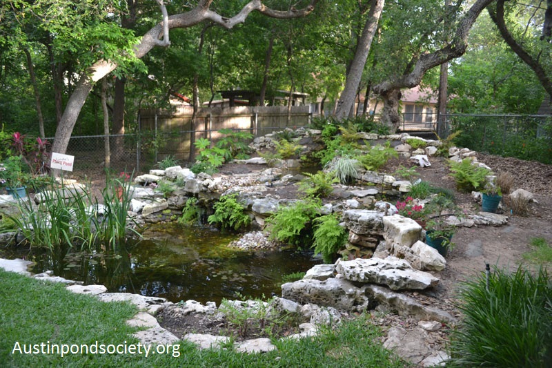 Austin Pond Society tour Austin Pond Society tour