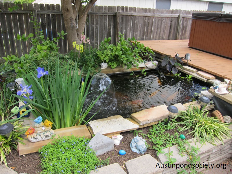 Austin Pond Society tour Austin Pond Society tour