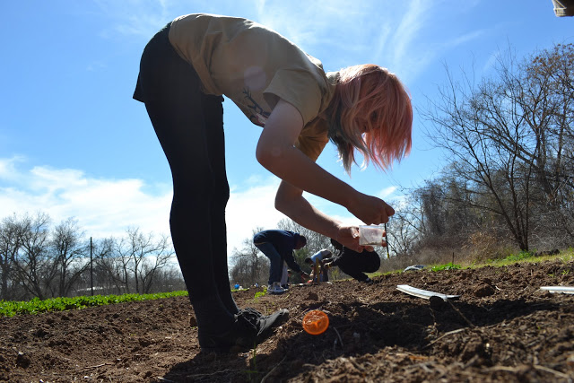 Urban Roots photograph by Colleen Nelson 