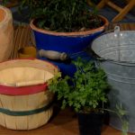 vegetable containers