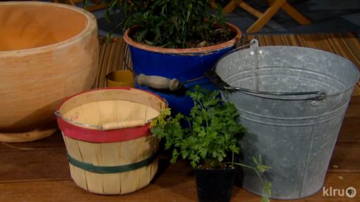 vegetable containers