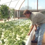 Garden Rob Nash Austin Aquaponics