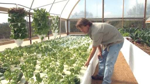 Garden Rob Nash Austin Aquaponics