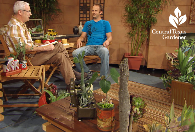 succulent containers Eric Pedley East Austin Succulents and Tom Spencer Central Texas Gardener succulent containers Eric Pedley East Austin Succulents and Tom Spencer Central Texas Gardener