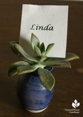 Succulent table place card holder Trisha Shirey Central Texas Gardener