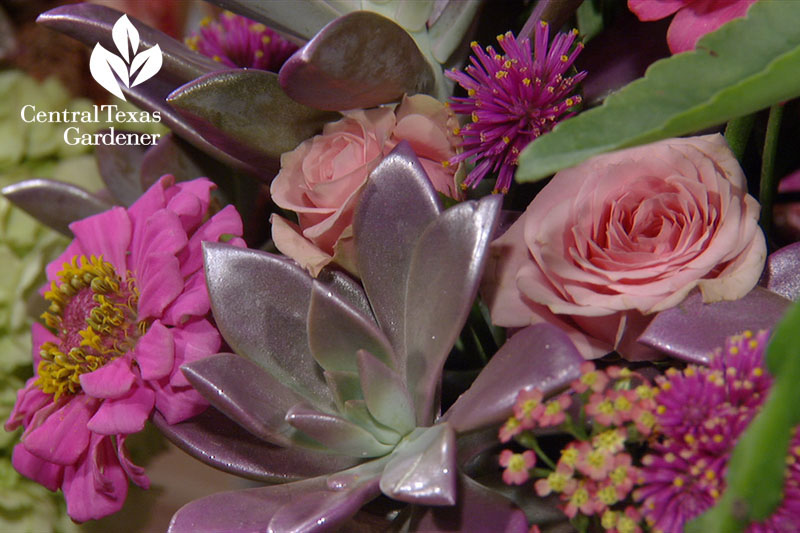 Succulent flower arrangements Trisha Shirey Central Texas Gardener 