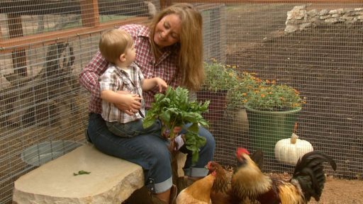 Carla Jean Oldenkamp's Zen Hen House