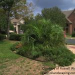 Before picture Captiol Landscaping makeover