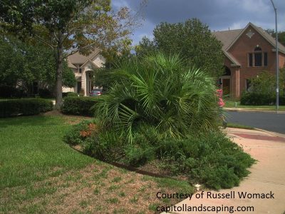 Before picture Captiol Landscaping makeover