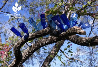 Bottle tree at Garden of Good and Evil