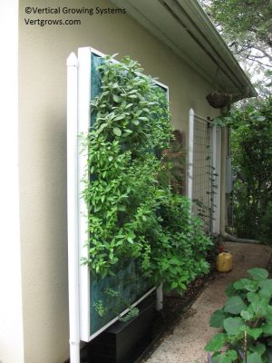 Vertical Growing Systems Central Texas Gardener