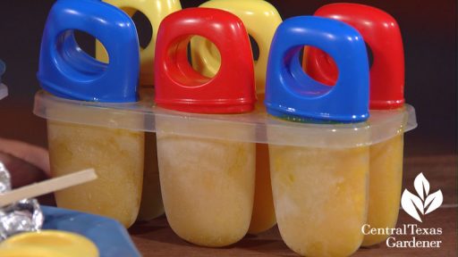 Homemade popsicles BPA free molds