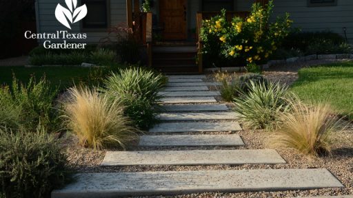 walkway with native plants web