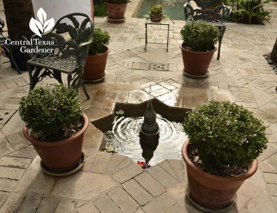inset patio fountain san antonio central texas gardener
