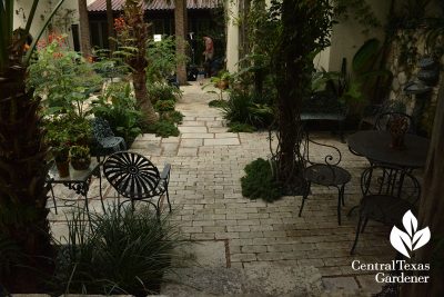 Claire Golden courtyard garden san antonio central texas gardener