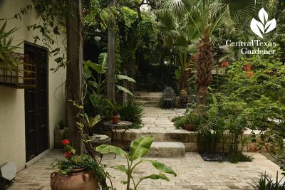 courtyard garden san antonio central texas gardener