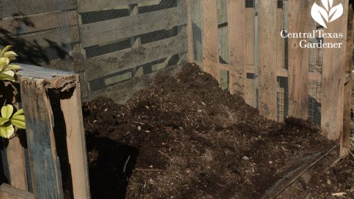 compost bin at Ten Acre Organics Central Texas Gardener