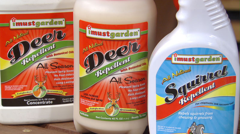 I Must Garden deer squirrel repellent Central Texas Gardener I Must Garden deer squirrel repellent Central Texas Gardener