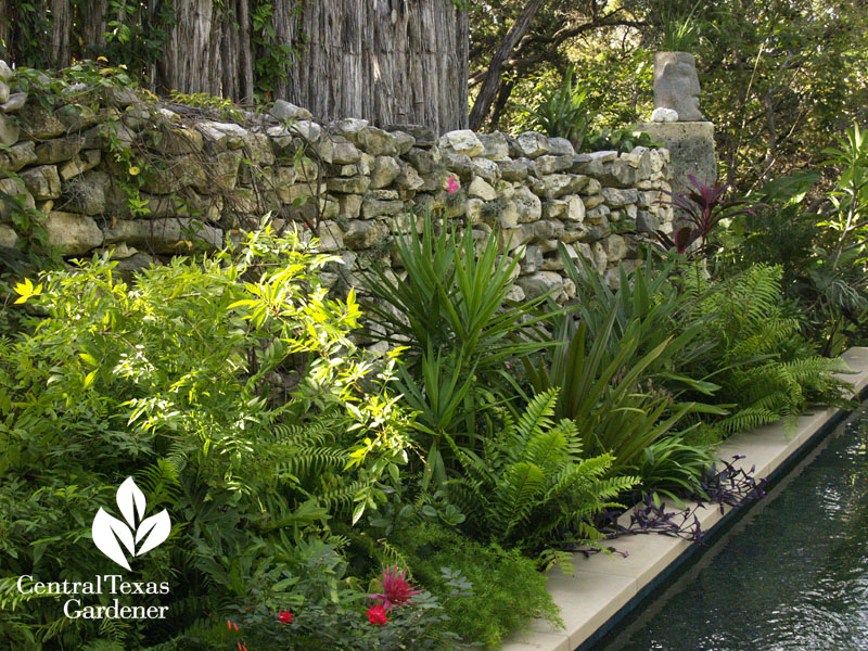 Stone and cedar wall Tait Moring Central Texas Gardener