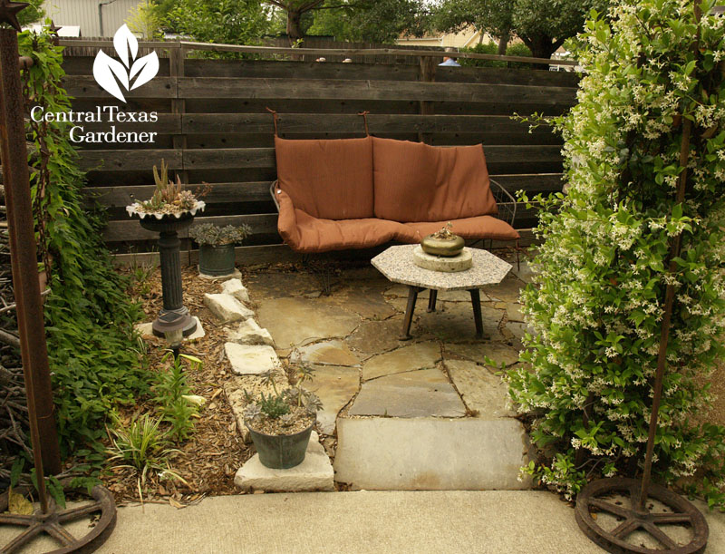 star jasmine vine framing intimate outdoor dining Central Texas Gardener