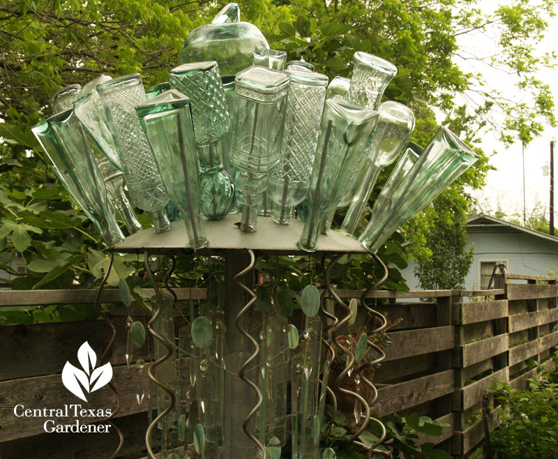 turquoise bottle tree Hutto Central Texas Gardener turquoise bottle tree Hutto Central Texas Gardener