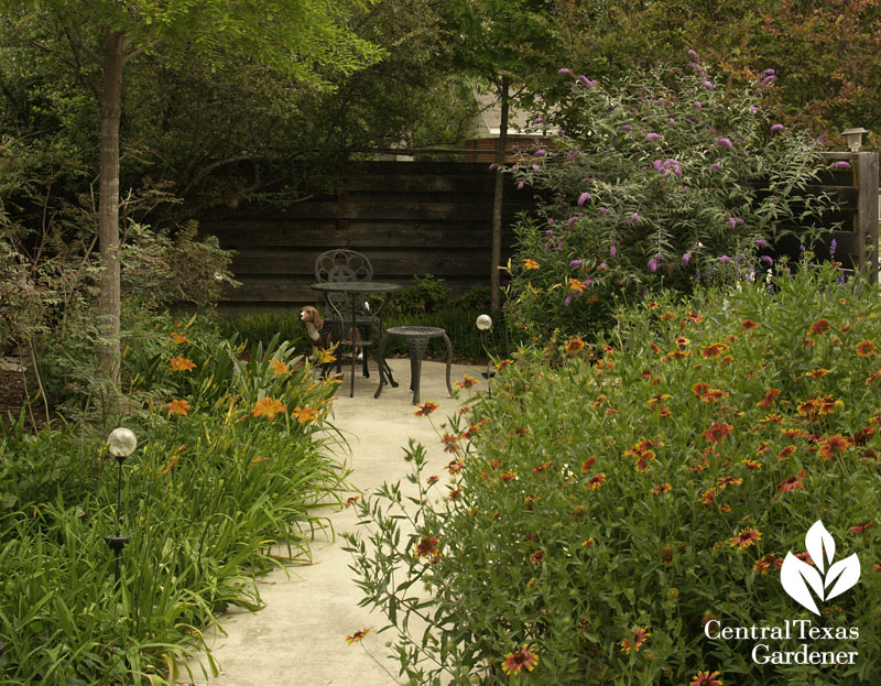 wildflower and daylily patio Hutto central texas gardener