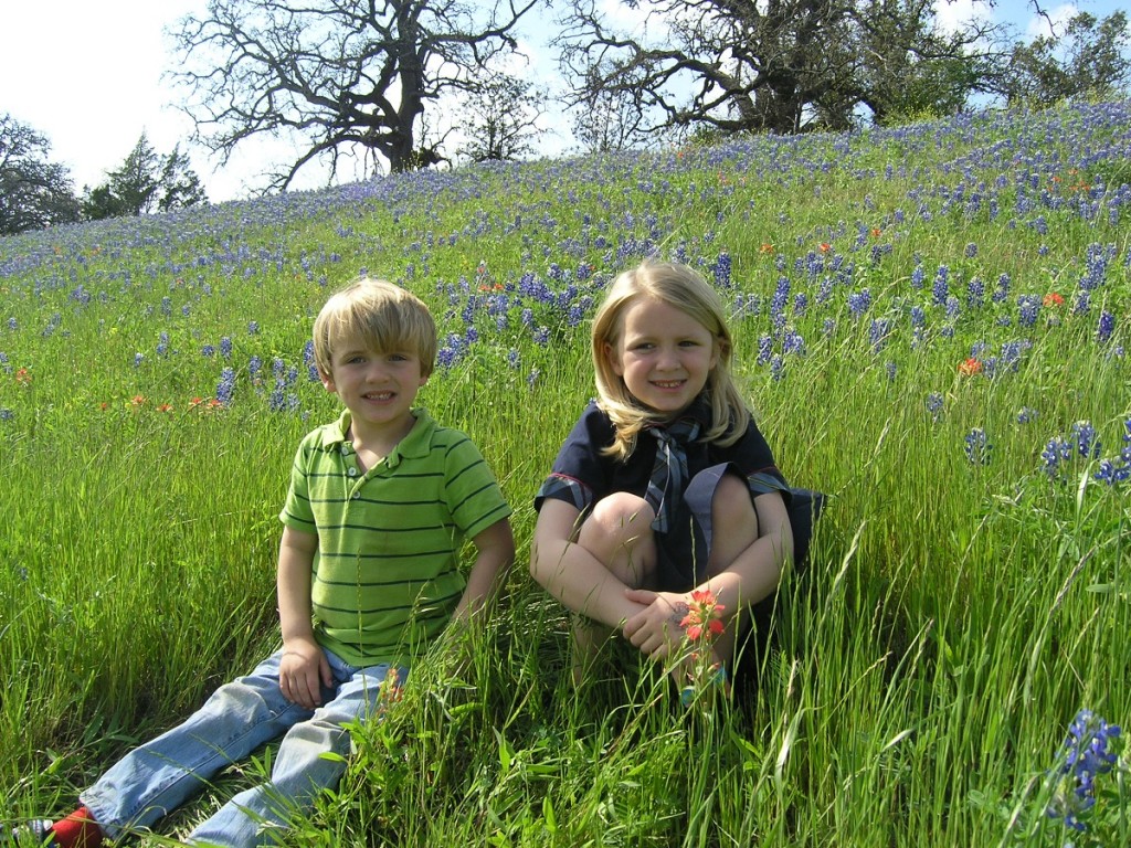 Mitzi VanSant's grandchildren in bluebonnets