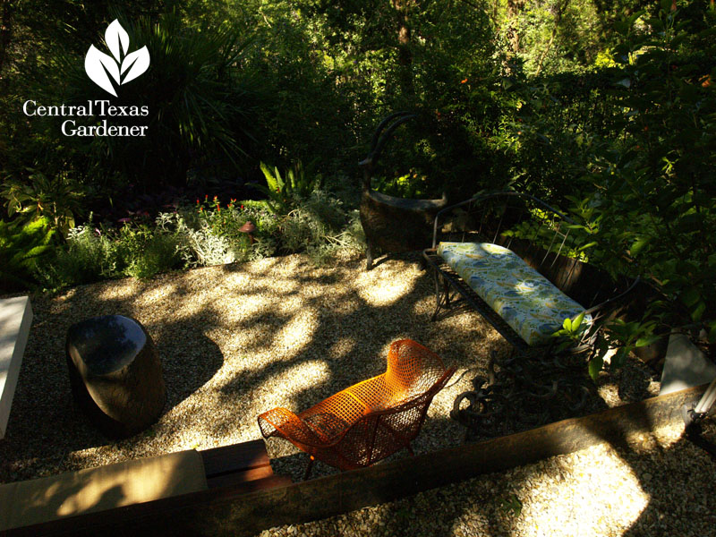 Lynne Dobson's shady garden on a slope Central Texas Gardener