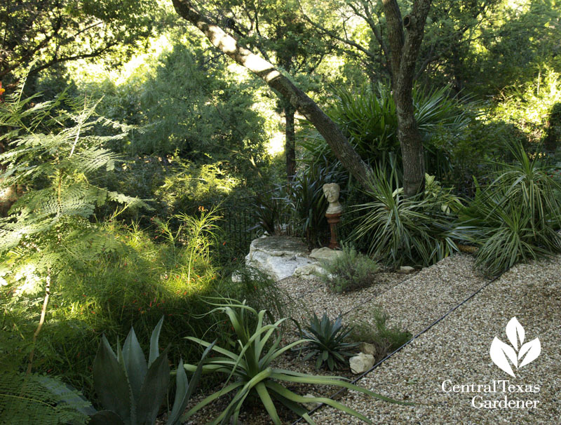 Lynne Dobson's shady garden on a slope Central Texas Gardener