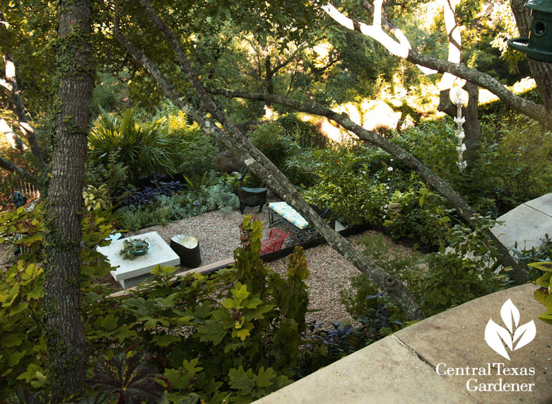 Lynne Dobson's shady garden on a slope Central Texas Gardener